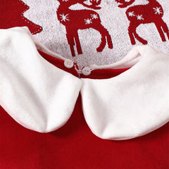 2024 Kinder Mädchen Weihnachten Kleid Puppe Kragen langärmelige Kinder Mesh Prinzessin Rock