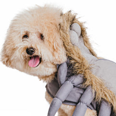 Haustier Kostüm Cosplay Spinnenkostüm Outfits Halloween Karneval Anzug