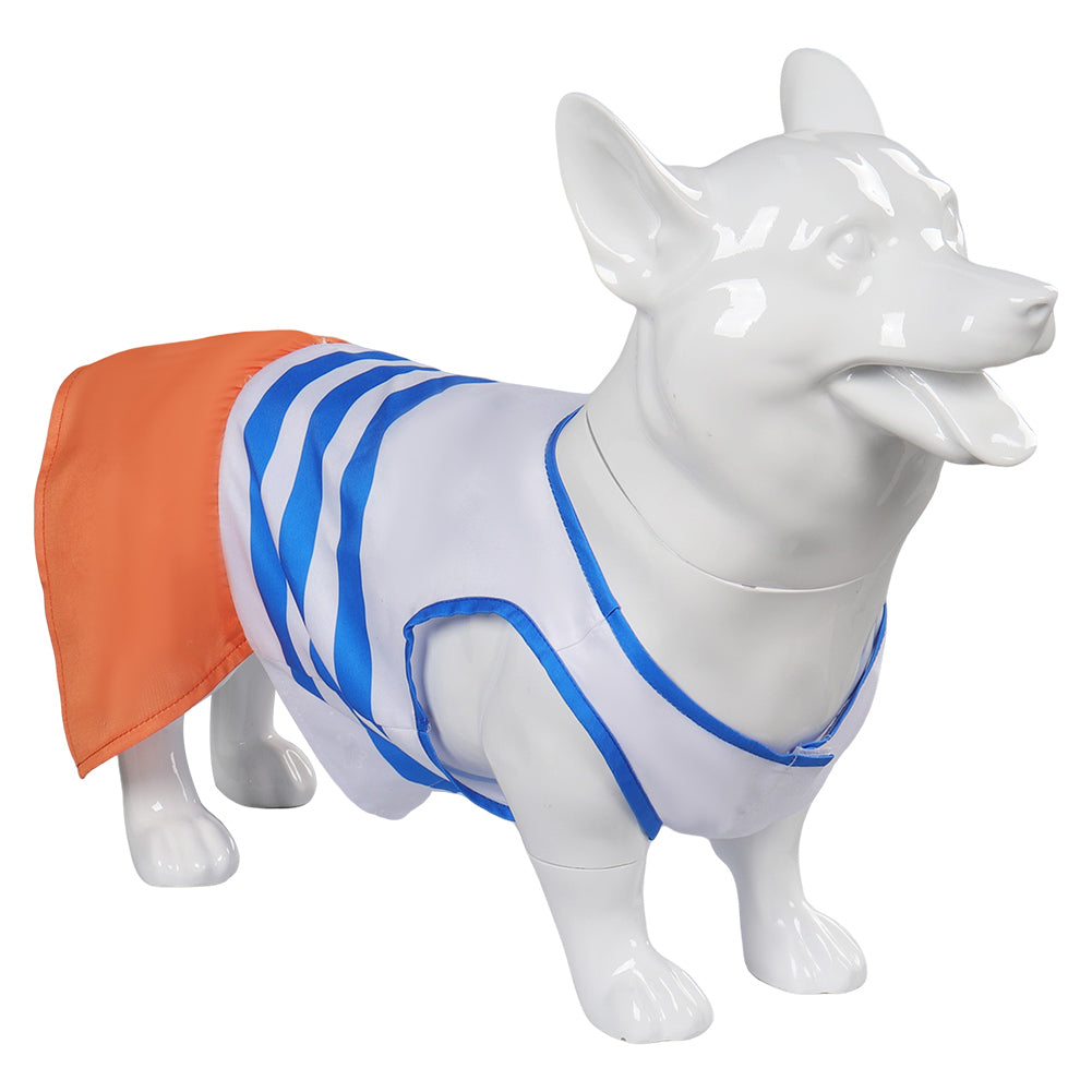 One Piece Nami Hundekleidun Kostüm Outfits Haustier Anime