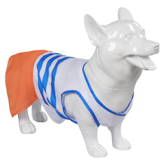 One Piece Nami Hundekleidun Kostüm Outfits Haustier Anime