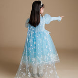 Kinder Mädchen Prinzessin Elsa Kleid Prinzessin Elsa Winter Mesh Kleid Mädchen Kleider Weihnachtskleider