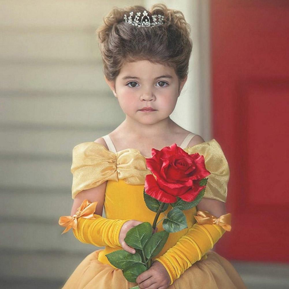 Bella Prinzessin Bella Kleid Cosplay Kostüm Party Kleid  für Kinder Mädchen Halloween Karneval Kleid als Geburtstagsgeschenk - Karnevalkostüme