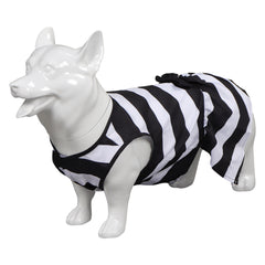 Hund Haustier Kleid Barbie Cosplay Kostüm Outfits Anzug für kleine mittel große Hund